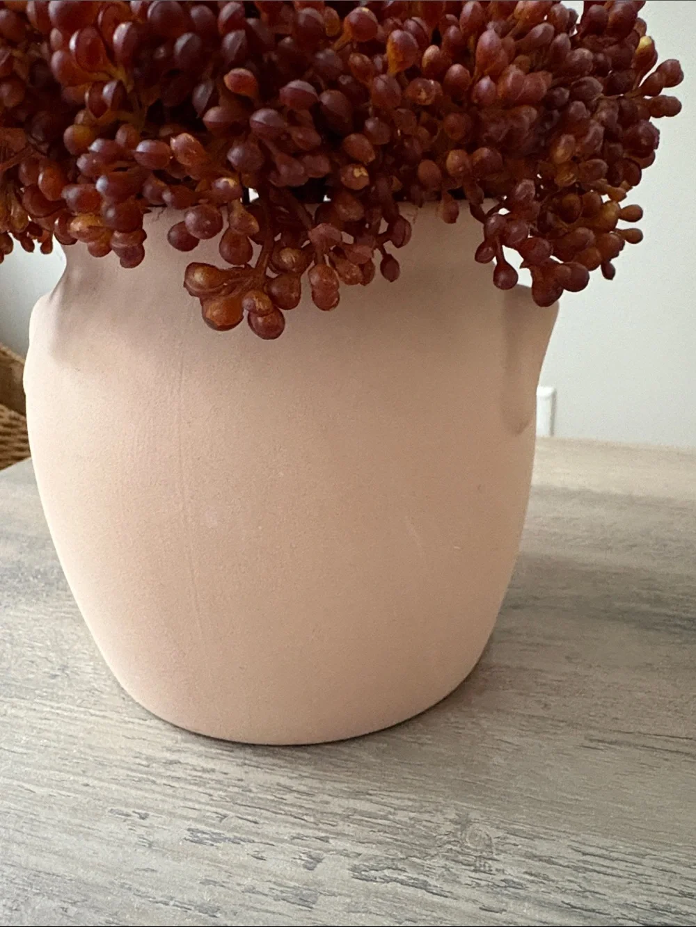 Threshold Red Sedum Arrangement - Set of 2